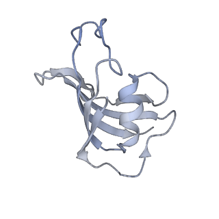 9519_5gkz_B_v1-4
Structure of RyR1 in a closed state (C3 conformer)