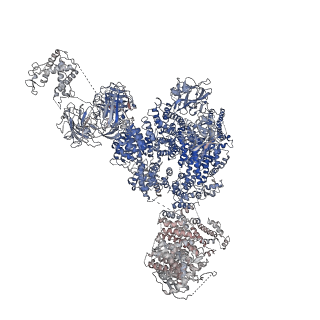 9519_5gkz_C_v1-4
Structure of RyR1 in a closed state (C3 conformer)