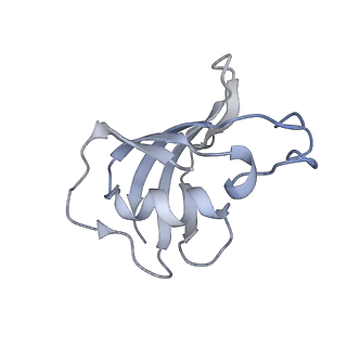 9519_5gkz_D_v1-4
Structure of RyR1 in a closed state (C3 conformer)