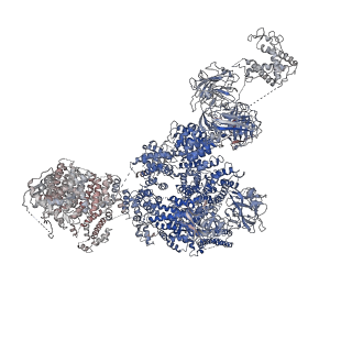 9519_5gkz_E_v1-4
Structure of RyR1 in a closed state (C3 conformer)