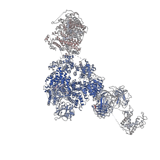 9519_5gkz_G_v1-4
Structure of RyR1 in a closed state (C3 conformer)