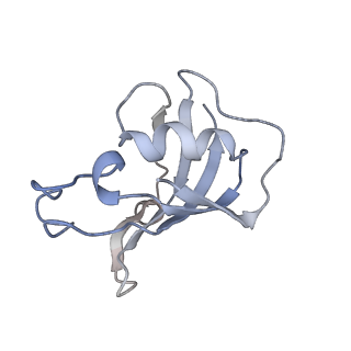 9519_5gkz_H_v1-4
Structure of RyR1 in a closed state (C3 conformer)