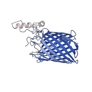 40191_8gl6_F_v1-0
The Type 9 Secretion System in vitro assembled, RemA-CTD substrate bound complex