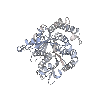 40220_8glv_0A_v1-2
96-nm repeat unit of doublet microtubules from Chlamydomonas reinhardtii flagella