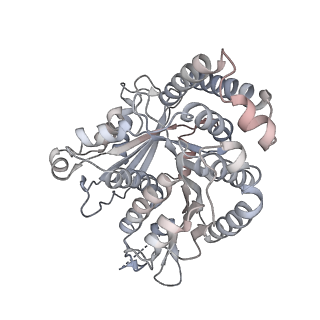 40220_8glv_0B_v1-2
96-nm repeat unit of doublet microtubules from Chlamydomonas reinhardtii flagella