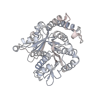 40220_8glv_0C_v1-2
96-nm repeat unit of doublet microtubules from Chlamydomonas reinhardtii flagella