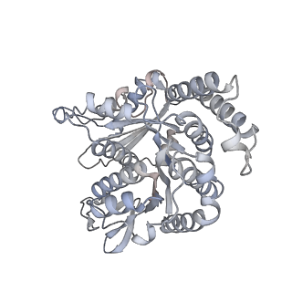 40220_8glv_0E_v1-2
96-nm repeat unit of doublet microtubules from Chlamydomonas reinhardtii flagella