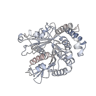 40220_8glv_0F_v1-2
96-nm repeat unit of doublet microtubules from Chlamydomonas reinhardtii flagella