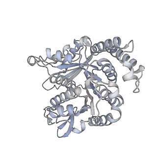 40220_8glv_0G_v1-2
96-nm repeat unit of doublet microtubules from Chlamydomonas reinhardtii flagella