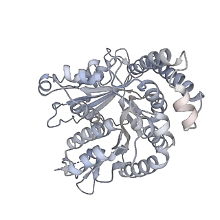 40220_8glv_0H_v1-2
96-nm repeat unit of doublet microtubules from Chlamydomonas reinhardtii flagella