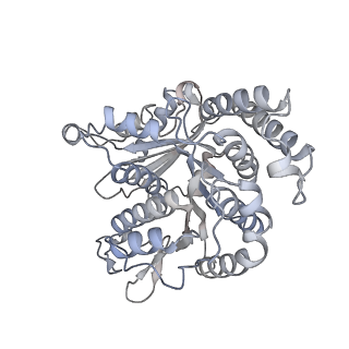 40220_8glv_0I_v1-2
96-nm repeat unit of doublet microtubules from Chlamydomonas reinhardtii flagella