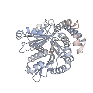 40220_8glv_0J_v1-2
96-nm repeat unit of doublet microtubules from Chlamydomonas reinhardtii flagella