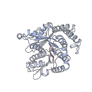 40220_8glv_0K_v1-2
96-nm repeat unit of doublet microtubules from Chlamydomonas reinhardtii flagella