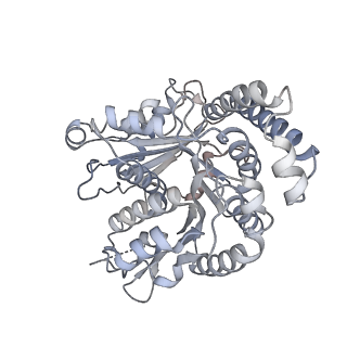 40220_8glv_0L_v1-2
96-nm repeat unit of doublet microtubules from Chlamydomonas reinhardtii flagella