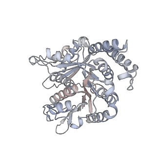 40220_8glv_0M_v1-2
96-nm repeat unit of doublet microtubules from Chlamydomonas reinhardtii flagella