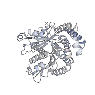 40220_8glv_0N_v1-2
96-nm repeat unit of doublet microtubules from Chlamydomonas reinhardtii flagella