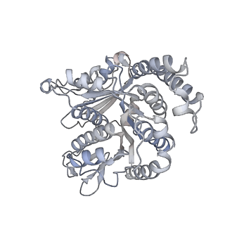 40220_8glv_0O_v1-2
96-nm repeat unit of doublet microtubules from Chlamydomonas reinhardtii flagella