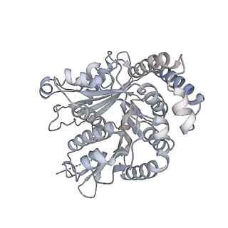 40220_8glv_0P_v1-2
96-nm repeat unit of doublet microtubules from Chlamydomonas reinhardtii flagella