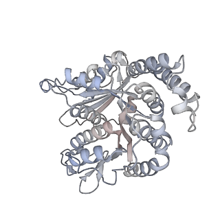40220_8glv_0Q_v1-2
96-nm repeat unit of doublet microtubules from Chlamydomonas reinhardtii flagella