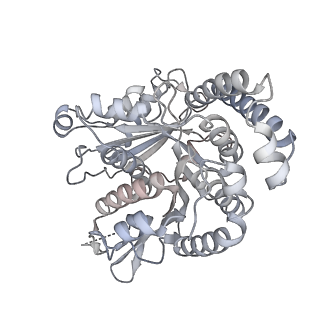 40220_8glv_0R_v1-2
96-nm repeat unit of doublet microtubules from Chlamydomonas reinhardtii flagella