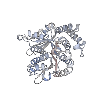 40220_8glv_0S_v1-2
96-nm repeat unit of doublet microtubules from Chlamydomonas reinhardtii flagella