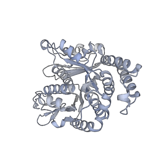 40220_8glv_0U_v1-2
96-nm repeat unit of doublet microtubules from Chlamydomonas reinhardtii flagella