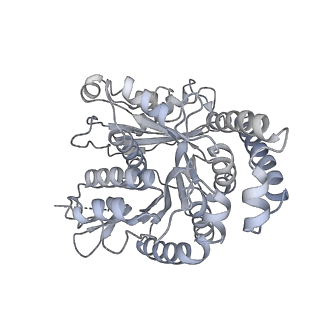 40220_8glv_0V_v1-2
96-nm repeat unit of doublet microtubules from Chlamydomonas reinhardtii flagella