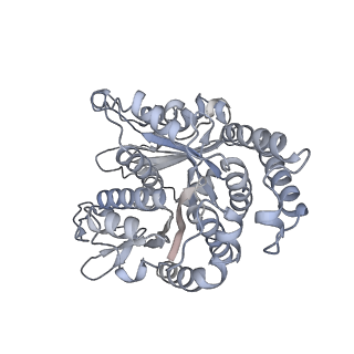 40220_8glv_0W_v1-2
96-nm repeat unit of doublet microtubules from Chlamydomonas reinhardtii flagella