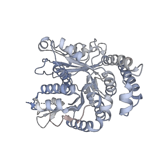 40220_8glv_0X_v1-2
96-nm repeat unit of doublet microtubules from Chlamydomonas reinhardtii flagella