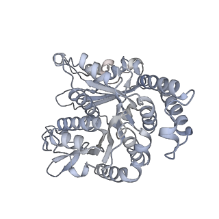 40220_8glv_0Y_v1-2
96-nm repeat unit of doublet microtubules from Chlamydomonas reinhardtii flagella