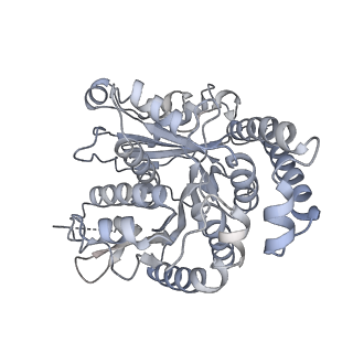 40220_8glv_0Z_v1-2
96-nm repeat unit of doublet microtubules from Chlamydomonas reinhardtii flagella