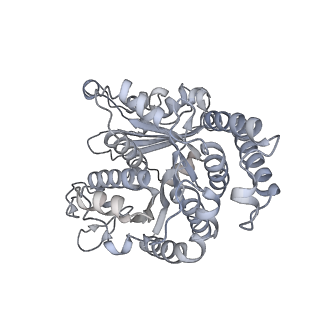 40220_8glv_1A_v1-2
96-nm repeat unit of doublet microtubules from Chlamydomonas reinhardtii flagella