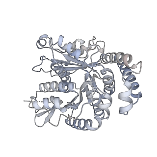 40220_8glv_1B_v1-2
96-nm repeat unit of doublet microtubules from Chlamydomonas reinhardtii flagella