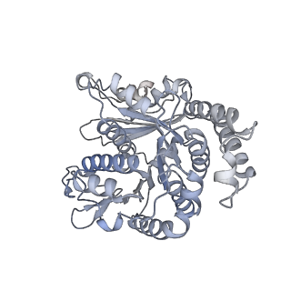40220_8glv_1C_v1-2
96-nm repeat unit of doublet microtubules from Chlamydomonas reinhardtii flagella