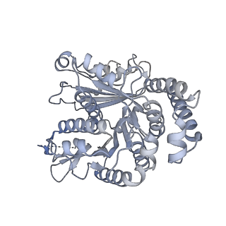 40220_8glv_1D_v1-2
96-nm repeat unit of doublet microtubules from Chlamydomonas reinhardtii flagella