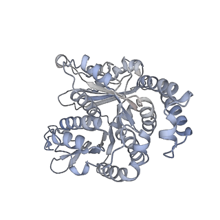 40220_8glv_1E_v1-2
96-nm repeat unit of doublet microtubules from Chlamydomonas reinhardtii flagella