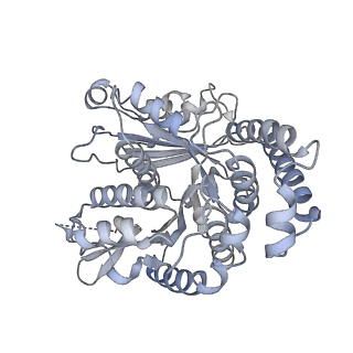 40220_8glv_1F_v1-2
96-nm repeat unit of doublet microtubules from Chlamydomonas reinhardtii flagella