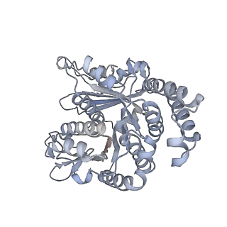 40220_8glv_1G_v1-2
96-nm repeat unit of doublet microtubules from Chlamydomonas reinhardtii flagella