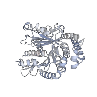 40220_8glv_1H_v1-2
96-nm repeat unit of doublet microtubules from Chlamydomonas reinhardtii flagella