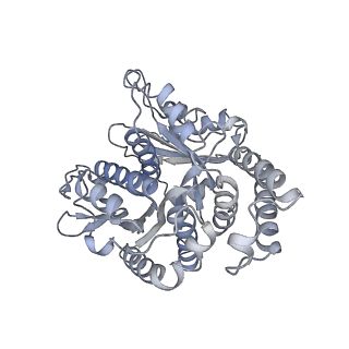 40220_8glv_1K_v1-2
96-nm repeat unit of doublet microtubules from Chlamydomonas reinhardtii flagella