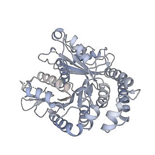 40220_8glv_1L_v1-2
96-nm repeat unit of doublet microtubules from Chlamydomonas reinhardtii flagella