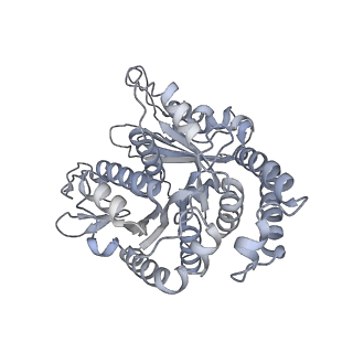 40220_8glv_1M_v1-2
96-nm repeat unit of doublet microtubules from Chlamydomonas reinhardtii flagella
