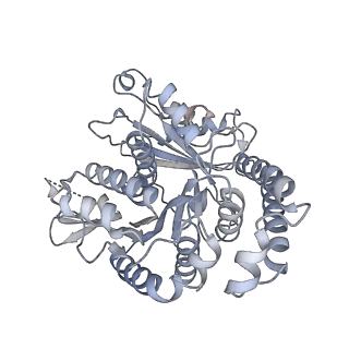 40220_8glv_1N_v1-2
96-nm repeat unit of doublet microtubules from Chlamydomonas reinhardtii flagella