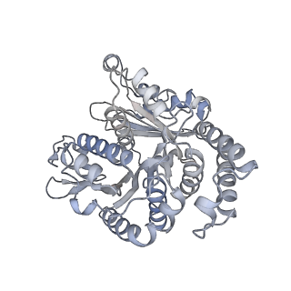 40220_8glv_1O_v1-2
96-nm repeat unit of doublet microtubules from Chlamydomonas reinhardtii flagella