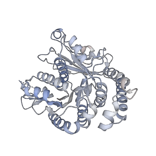 40220_8glv_1P_v1-2
96-nm repeat unit of doublet microtubules from Chlamydomonas reinhardtii flagella