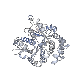 40220_8glv_1Q_v1-2
96-nm repeat unit of doublet microtubules from Chlamydomonas reinhardtii flagella
