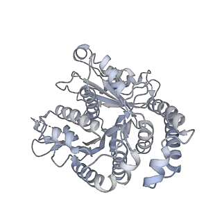 40220_8glv_1R_v1-2
96-nm repeat unit of doublet microtubules from Chlamydomonas reinhardtii flagella