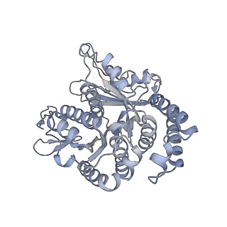 40220_8glv_1S_v1-2
96-nm repeat unit of doublet microtubules from Chlamydomonas reinhardtii flagella