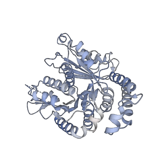 40220_8glv_1T_v1-2
96-nm repeat unit of doublet microtubules from Chlamydomonas reinhardtii flagella