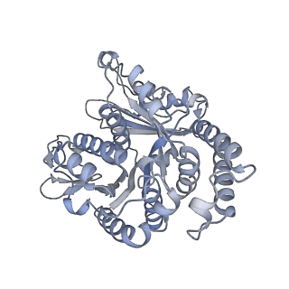 40220_8glv_1U_v1-2
96-nm repeat unit of doublet microtubules from Chlamydomonas reinhardtii flagella